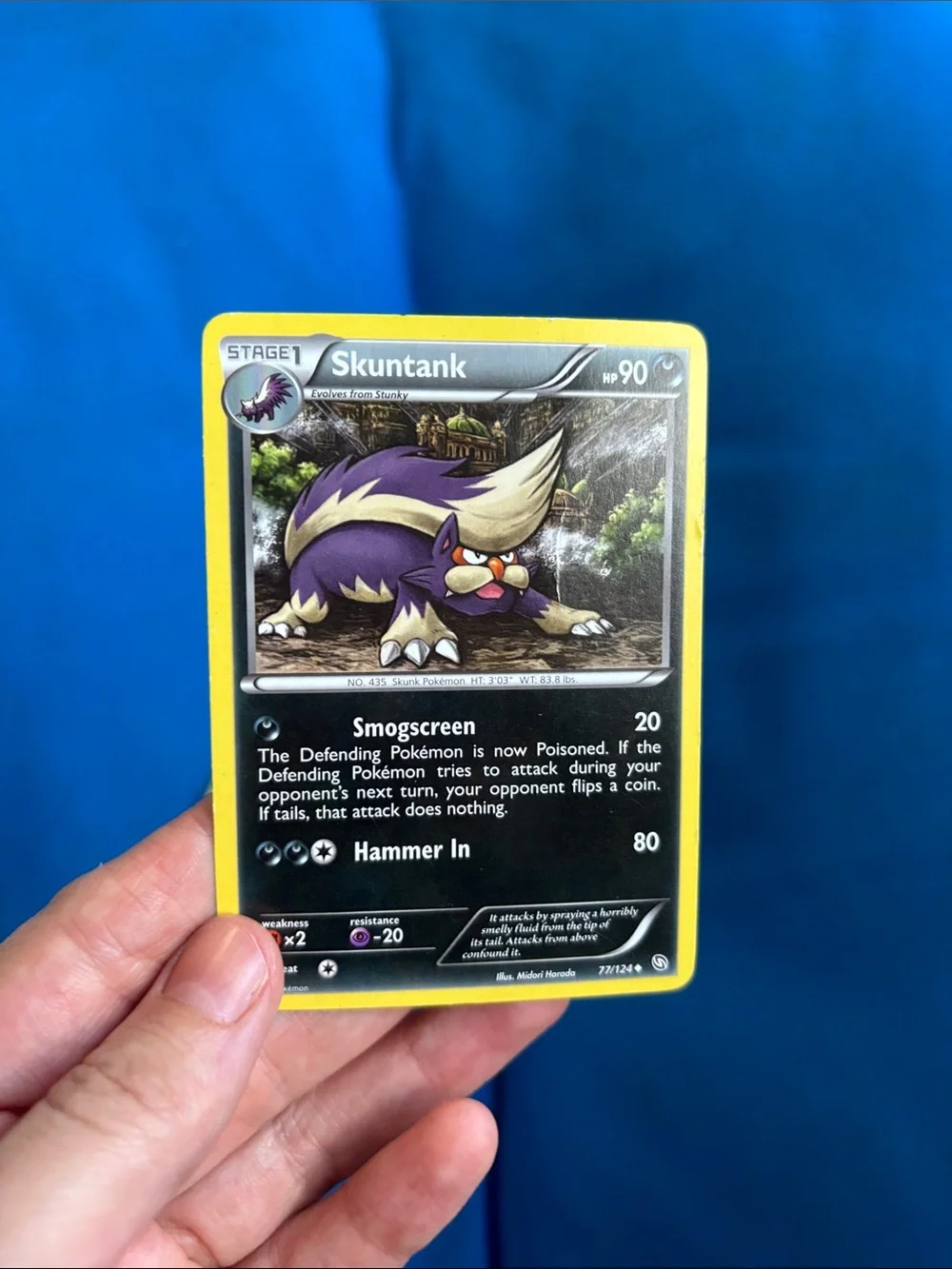 Pokemon nwots pokémon